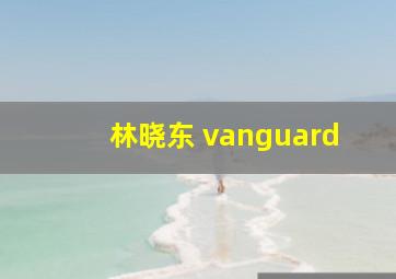 林晓东 vanguard